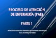 Proceso de atención de enfermería (PAE) · PDF file 2020. 9. 22. · El PAE se define como “elsistema de la práctica de Enfermería, en el sentido de que proporciona el mecanismo