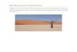 Reisbrochure Namibië - Informaticalessen€¦  · Web viewDe beroemde Welwitschia komt alleen voor aan de kust van Namibië en Angola. Het is een machtige plant met twee bladeren