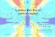 Gamma Ray Bursts central enginesnagataki-lab.riken.jp/workshop/SNGRB2014/barkov.pdfWhite dwarf + Black hole Black hole + compact disk Blinnikov et al (1984); Paczynsky (1986); Goodman