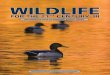 WILDLIFE · In August, 2007, President Bush signed Executive Order # 13443; Facilitation of Hunting Heritage and Wildlife Conservation. AWCP partner organizations subsequently met