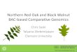 Northern Red Oak and Black Walnut BAC-based Comparative …2016. 8. 3. · Comparative Genomics of Hardwood Tree Species Northern Red Oak and Black Walnut BAC-based Comparative Genomics