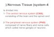 ).Nervous Tissue (system-4 · 2015. 12. 20. · ).Nervous Tissue (system-4 Is divided into 1- The central nervous system (CNS), consisting of the brain and the spinal cord 2-The peripheral
