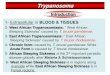 Trypanosoma - جامعة تكريتcpha.tu.edu.iq/images/trypanosoma.pdf · 2020. 3. 23. · Trypanosoma Morphology Exist into 2 interchangeable forms: Trypomastigote in Blood/ Lymph