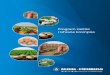 Program zaštite i ishrane krompira - fitofarmacija.com