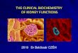 THE CLINICAL BIOCHEMISTRY OF KIDNEY FUNCTIONS