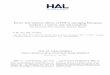 Direct and indirect effects of FDI in emerging ... - HAL-SHS