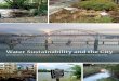 Water Sustainability and the City