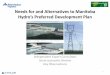 Needs for and Alternatives to Manitoba Hydro’s Preferred 