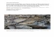 Ordovician turbidites and black shales of Bennett Island 