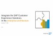 Integrate the SAP Customer Experience Solutions in the 