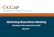 Marketing Branchless Banking - IFC