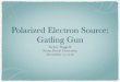 Polarized Electron Source: Gatling Gun