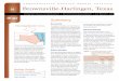 Comprehensive Housing Market Analysis for Brownsville 