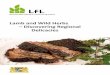 Lamb and Wild Herbs - Discovering Regional Delicacies