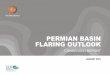 PERMIAN BASIN FLARING OUTLOOK - News and blogs