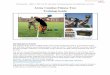 Army Combat Fitness Test Training Guide