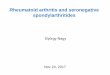 Rheumatoid arthritis and seronegative spondylarthritides