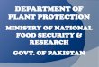 DEPARTMENT OF PLANT PROTECTION