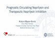 Prognostic Circulating Neprilysin and Therapeutic 