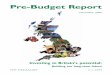 Pre-Budget Report