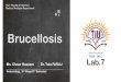 Brucellosis - Lecture Notes - TIU - Lecture Notes