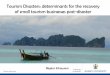 Tourism Disasters: determinants for the recovery of small 