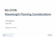 NG-EPON Wavelength Planning Considerations