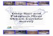 Deep Run and Patapsco River Stream Corridor Survey
