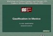 Gasification in Mexico - UNAM