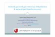 Natural gas acid gas removal, dehydration & natural gas 