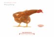 Product Line Poultry
