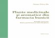 Plante medicinale şi aromatice din farmacia bunicii