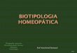 Domínios conexos - Homeopatia Explicada