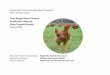 Free Range Meat Chicken Production Manual: Slow Growth Breeds