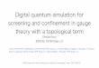 Digital quantum simulation for screening and conﬁnement in 