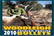 WOODLEIGH 2010BULLETS PREMIUM HUNTING