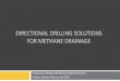 DIRECTIONAL DRILLING SOLUTIONS FOR METHANE DRAINAGE