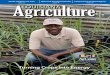 Turning Crops into Energy - LSU AgCenter