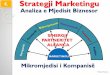 4. Strategji Marketingu Analiza e Mjedisit Biznesor