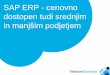 SAP ERP - cenovno dostopen tudi srednjim