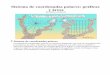 Sistema de coordenadas polares: gráficas y áreas