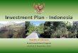 Investment Plan - Indonesia