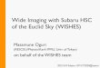 Wide Imaging with Subaru HSC of the Euclid Sky (WISHES)