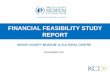 FINANCIAL FEASIBILITY STUDY REPORT