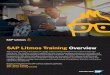 SAP Litmos Training Overview