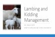 Lambing and Kidding Management - N.C. A&T
