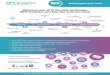 WPS Analytics Overview - IBM