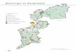 Bioenergie im Burgenland - Österreichischer Biomasseverband