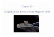 Chapter 20 Magnetic Field Forces and the Magnetic Field