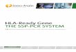 HLA-Ready Gene THE SSP-PCR SYSTEM - Visur Ltda